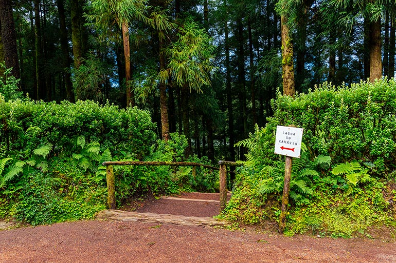 A sign that says "Lagoa Do Canario" and a top of a wooden stairs in a forest. 